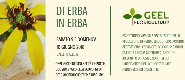 De Erba en Erba – Puertas abiertas en la guardería 2018