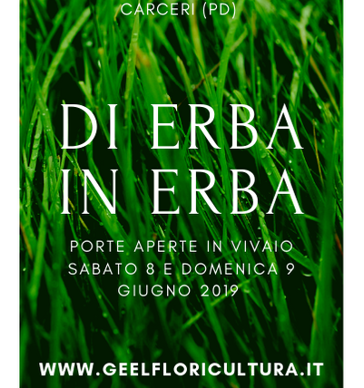 Programma Di Erba in Erba 2019 – Porte Aperte in Vivaio