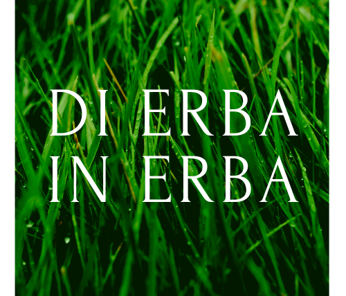 Espositori Di Erba in Erba 2019 – Porte Aperte in Vivaio
