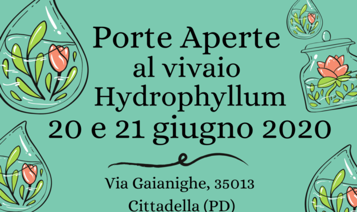 Puertas abiertas en la guardería Hydrophyllum - 20 y 21 de junio en Cittadella