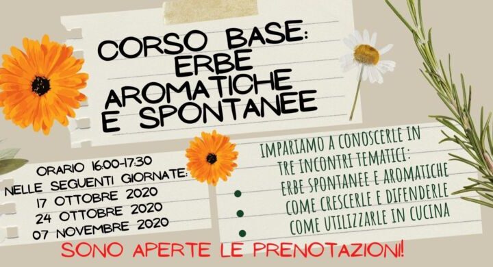 Curso básico: hierbas aromáticas y espontáneas