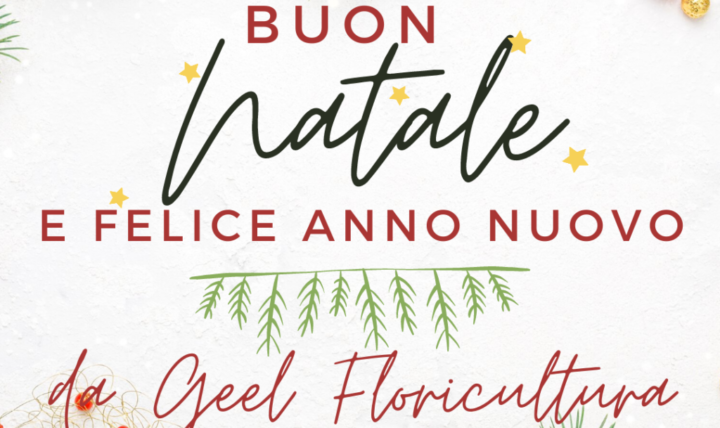Buon Natale e Felice Anno nuovo da Geel Floricultura