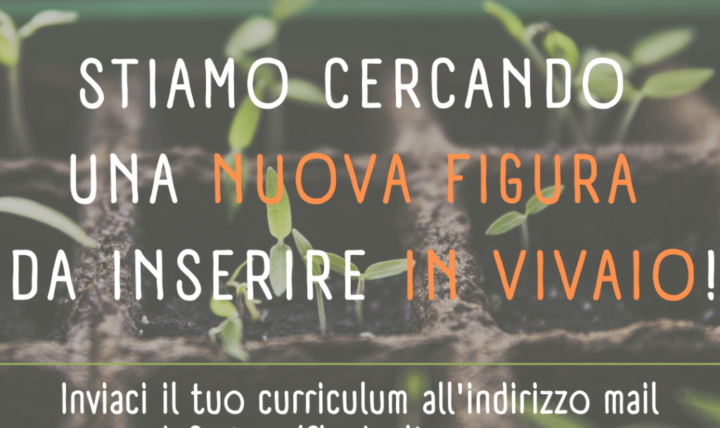 Stiamo cercando una nuova figura da inserire in vivaio!