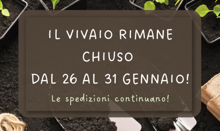 Chiuso dal 26 al 31 gennaio: torniamo subito!