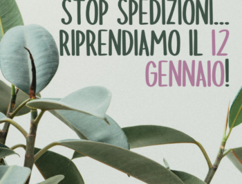 Stop spedizioni…riprendiamo il 12 gennaio!