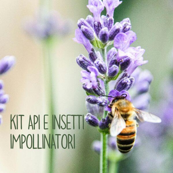kit api