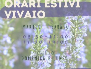 Orari estivi 2026: dal 16 giugno al 31 agosto