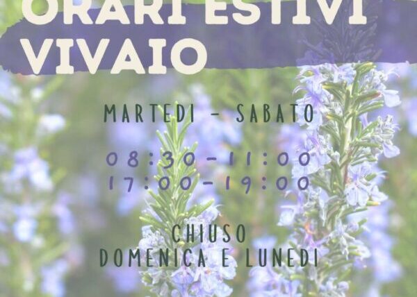 Orari estivi 2026: dal 16 giugno al 31 agosto
