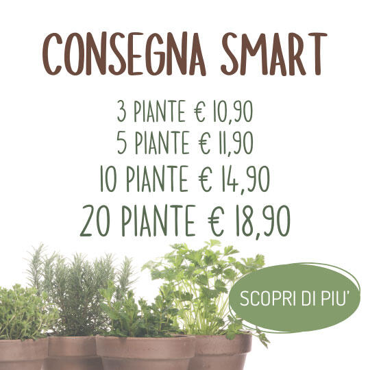 Consegna Smart