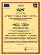 Geel Floricultura - Attestato Corso Parolo Diego Geel Floricultura - Attestato Corso Parolo Diego