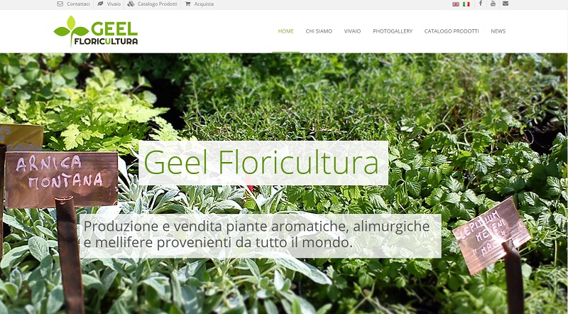 sito web geel floricultura
